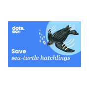 Dots.eco - Save a sea turtle hatchling UK