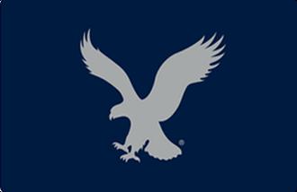 American Eagle logo