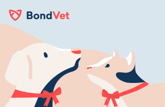 BondVet USA logo