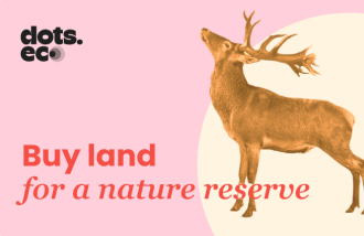 Dots.eco - Buy 10 sqf of Land for Nature reserve US logo