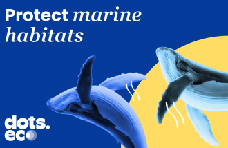 Dots.eco - Protect 10 sqm of Marine Habitat US logo