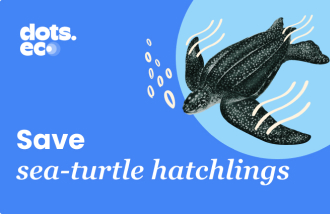 Dots.eco - Save a sea turtle hatchling US logo